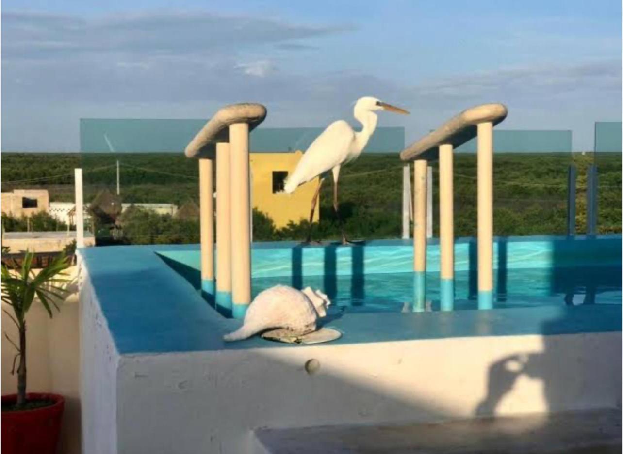 El Corazon Mexican0 Isla Holbox 外观 照片